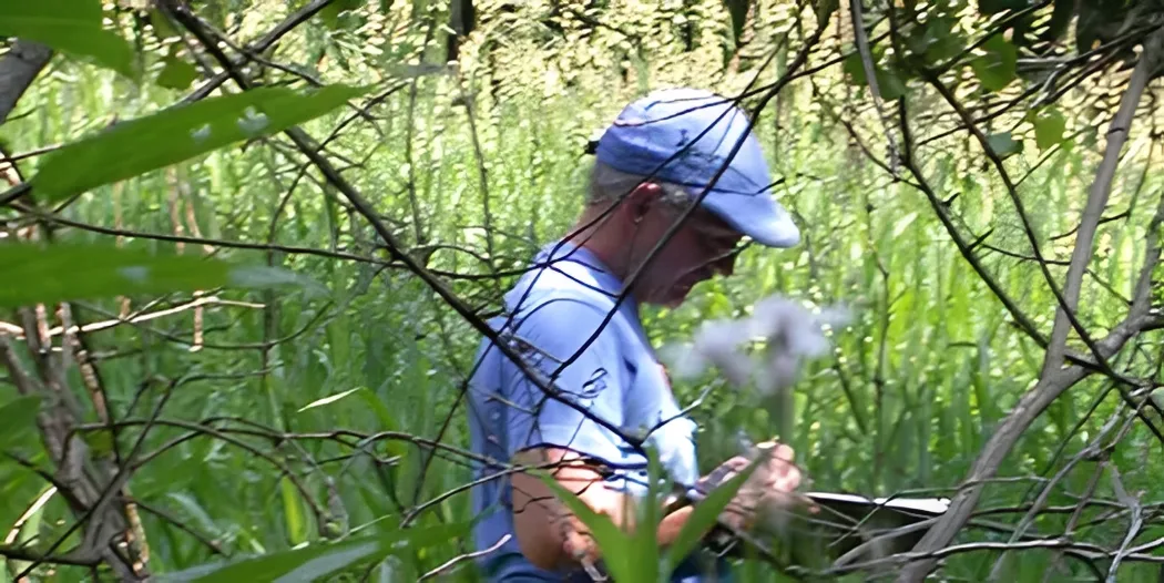 Individual observing nature in dense greenery